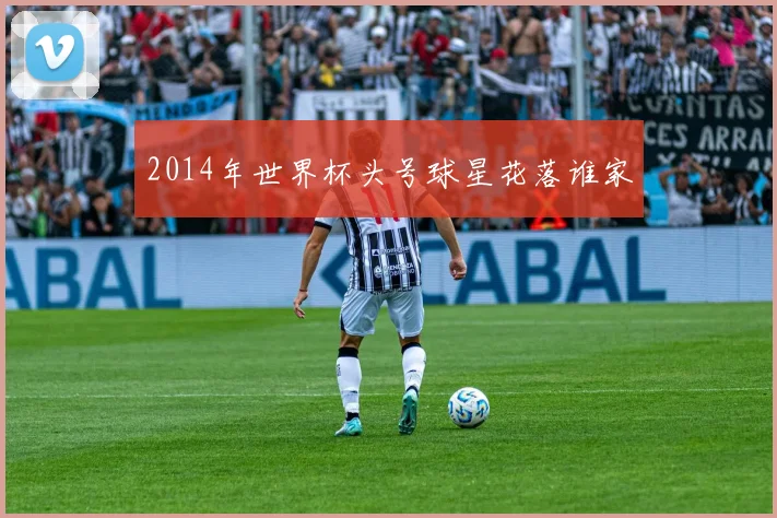 2014年世界杯头号球星花落谁家