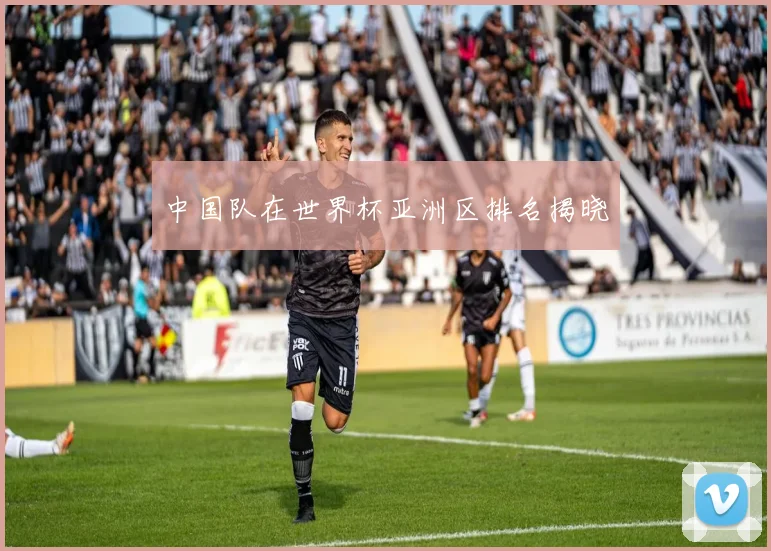 中国队在世界杯亚洲区排名揭晓