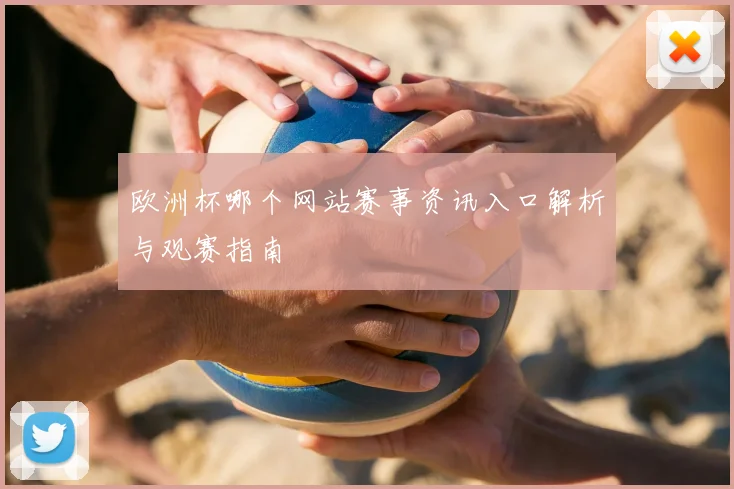 欧洲杯哪个网站赛事资讯入口解析与观赛指南