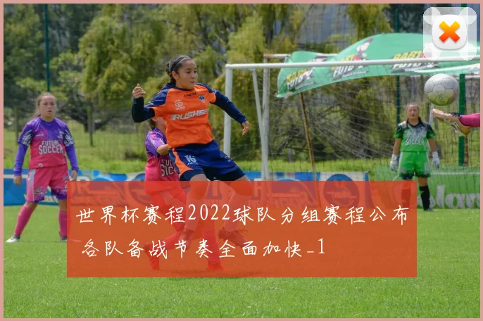 世界杯赛程2022球队分组赛程公布 各队备战节奏全面加快_1