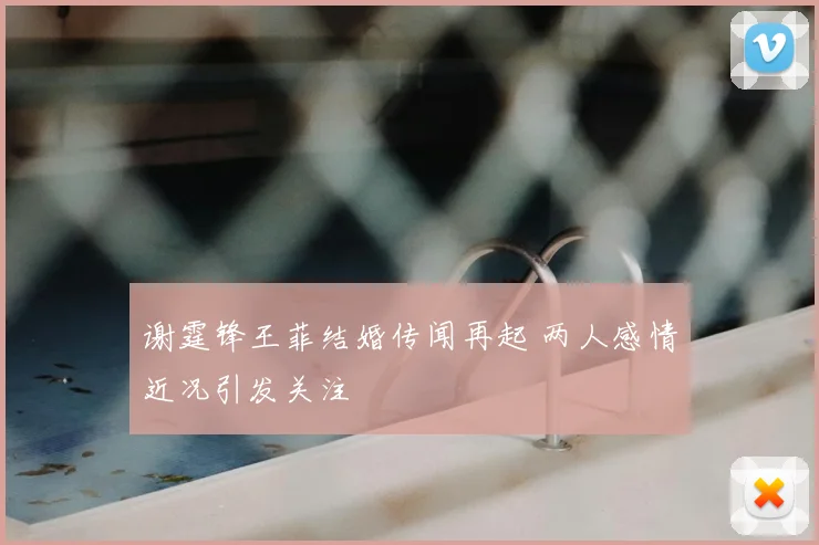 谢霆锋王菲结婚传闻再起 两人感情近况引发关注